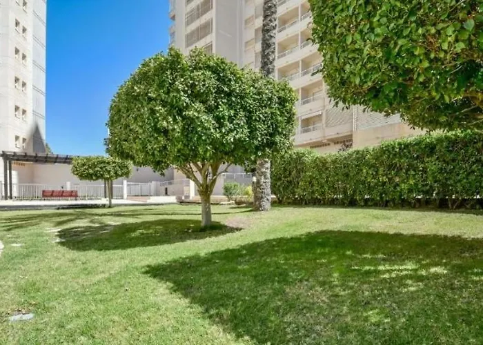 Homeincalpe Apolo Xvi 2-11-52 *